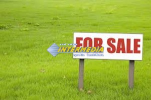 teren-intravilan-11557-mp-cu-casa-la-rosu-de-vanzare-alba-micesti-partea-dreapta