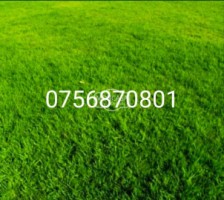 teren-930-mp-in-tulbureni