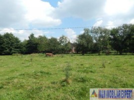 teren-intravilan-1482-mp-de-vanzare-pe-calea-pietroasa-in-campulung-muscel-arges-2