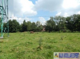 teren-intravilan-1482-mp-de-vanzare-pe-calea-pietroasa-in-campulung-muscel-arges-9