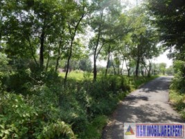 teren-intravilan-1482-mp-de-vanzare-pe-calea-pietroasa-in-campulung-muscel-arges-4