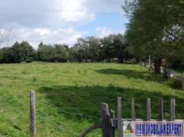 teren-intravilan-1482-mp-de-vanzare-pe-calea-pietroasa-in-campulung-muscel-arges-5