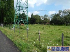 teren-intravilan-1482-mp-de-vanzare-pe-calea-pietroasa-in-campulung-muscel-arges-7