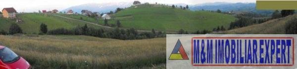 teren-extravilan-256-ha-de-vanzare-in-brusturet-dambovicioara-arges-1