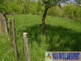 teren-extravilan-300-mp-de-vanzare-in-marcus-campulung-muscel-arges-1