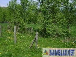 teren-extravilan-300-mp-de-vanzare-in-marcus-campulung-muscel-arges-2
