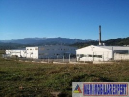 teren-industrial-intravilan-de-vanzare-1-ha-in-grui-campulung-muscel-arges-1