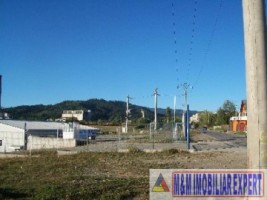 teren-industrial-intravilan-de-vanzare-1-ha-in-grui-campulung-muscel-arges-2