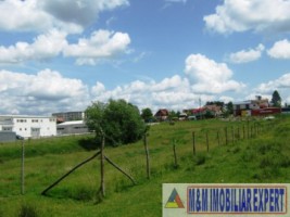 teren-industrial-intravilan-de-vanzare-1-ha-in-grui-campulung-muscel-arges-4