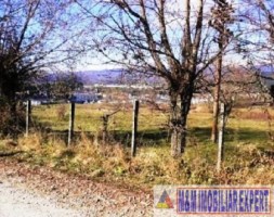 vand-teren-intravilan-de-vanzare-28-ha-in-cretisoara-campulung-muscel-arges-2