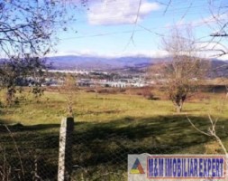 vand-teren-intravilan-de-vanzare-28-ha-in-cretisoara-campulung-muscel-arges-3
