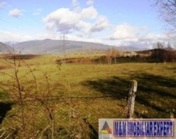 vand-teren-intravilan-de-vanzare-28-ha-in-cretisoara-campulung-muscel-arges-4