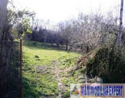 vand-teren-intravilan-de-vanzare-28-ha-in-cretisoara-campulung-muscel-arges-5