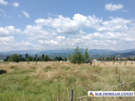vand-teren-intravilan-3015-mp-grui-campulung-muscel-arges-ideal-pentru-dezvoltare-rezidentiala