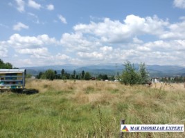 vand-teren-intravilan-3015-mp-grui-campulung-muscel-arges-ideal-pentru-dezvoltare-rezidentiala-2