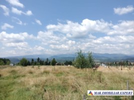 vand-teren-intravilan-3015-mp-grui-campulung-muscel-arges-ideal-pentru-dezvoltare-rezidentiala-3
