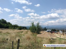 vand-teren-intravilan-3015-mp-grui-campulung-muscel-arges-ideal-pentru-dezvoltare-rezidentiala-10
