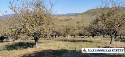 vand-vila-7-camere-teren-700-mp-campulung-muscel-arges
