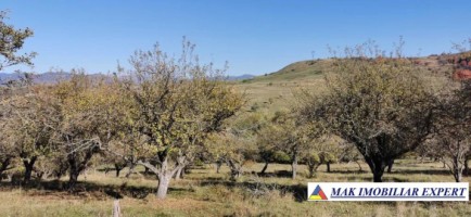 vand-vila-7-camere-teren-700-mp-campulung-muscel-arges-1
