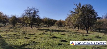 vand-vila-7-camere-teren-700-mp-campulung-muscel-arges-2