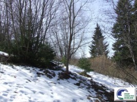 teren-intravilan-situat-in-predeal-zona-cioplea-1