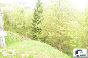 teren-intravilan-situat-in-predeal-zona-cioplea-9