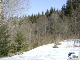 teren-intravilan-situat-in-predeal-zona-cioplea-7
