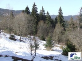teren-intravilan-situat-in-predeal-zona-cioplea-5