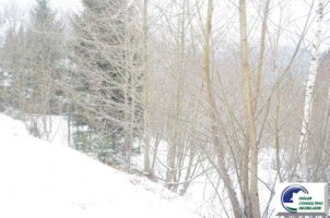 teren-intravilan-situat-in-predeal-zona-cioplea-18