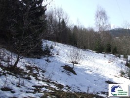 teren-intravilan-situat-in-predeal-zona-cioplea-14