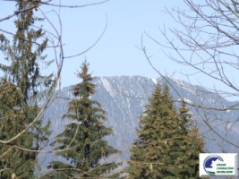 teren-intravilan-situat-in-predeal-zona-cioplea-23