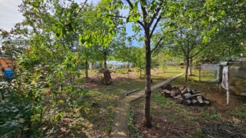 baicoi-casa-pe-ter-1354mp-pret-locuintaactiv-comerciale-149000-euro-2