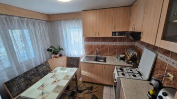 baicoi-casa-pe-ter-1354mp-pret-locuintaactiv-comerciale-149000-euro-16