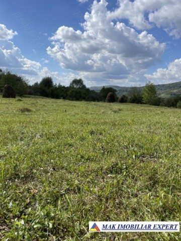 teren-de-35-ha-intraextravilan-de-vanzare-in-cetateni-arges-1