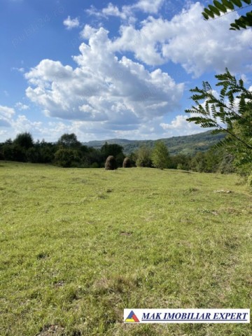 teren-de-35-ha-intraextravilan-de-vanzare-in-cetateni-arges-2