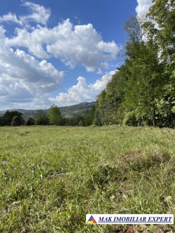 teren-de-35-ha-intraextravilan-de-vanzare-in-cetateni-arges-9