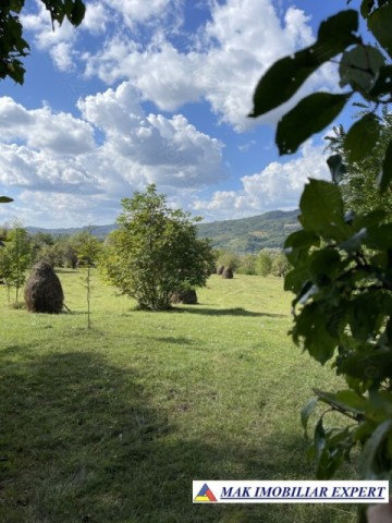 teren-de-35-ha-intraextravilan-de-vanzare-in-cetateni-arges-5