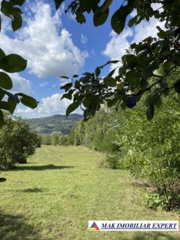 teren-de-35-ha-intraextravilan-de-vanzare-in-cetateni-arges-10
