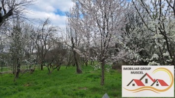 casa-6-camere-spe-in-campulung-muscel-zona-visoi-3-pret95000-euro-negociabil-5