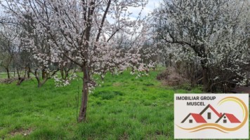 casa-6-camere-spe-in-campulung-muscel-zona-visoi-3-pret95000-euro-negociabil-4