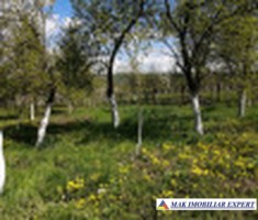 vanzare-casavila-3-camere-teren-951-mp-vladesti-arges-7