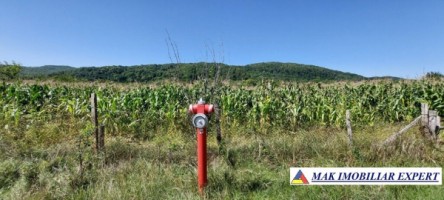 teren-intravilan-7222-mp-de-vanzare-in-balilesti-arges-ideal-pentru-dezvoltari-rezidentiale-1