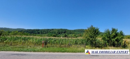 teren-intravilan-7222-mp-de-vanzare-in-balilesti-arges-ideal-pentru-dezvoltari-rezidentiale
