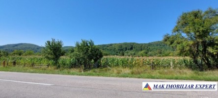 teren-intravilan-7222-mp-de-vanzare-in-balilesti-arges-ideal-pentru-dezvoltari-rezidentiale-2