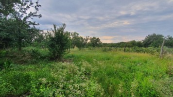paulesti-zcocosesti-zona-buna-p1e-la-rosu-la-120000-eu-5