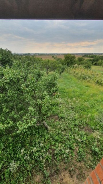 paulesti-zcocosesti-zona-buna-p1e-la-rosu-la-120000-eu-18