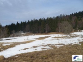 teren-intravilan-situat-in-predeal-1