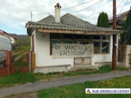 casa-6-camere-teren-4000-mp-de-vanzare-in-schitu-golesti-arges