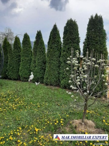 vila-cu-4-camere-si-teren-de-400-mp-de-vanzare-in-corbi-arges-ideala-pentru-locuinta-de-vacanta-16