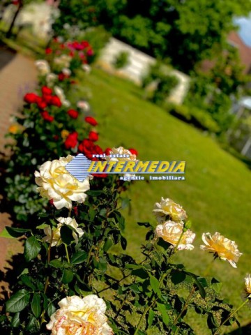 casa-de-vanzare-dp1-garaj-dublu-2-terase-mari-si-925-mp-teren-in-alba-iulia-cetate-finisata-36